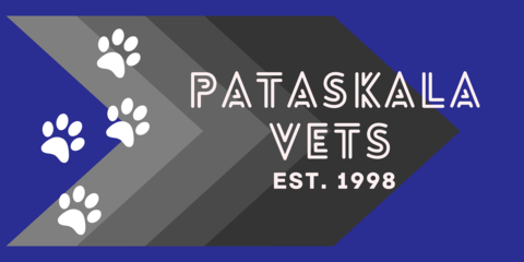 PataskalaVets